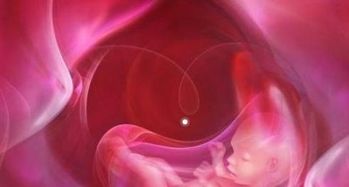 试管婴儿取出卵前一周做好哪些事情