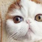 洛阳市中心医院三代试管婴儿成功率参考，还有费用详细说明别错过！