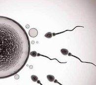 2026年南京市妇幼保健院一二三代试管婴儿费用参考