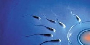 一代、二代、三代试管婴儿技术该怎么选？