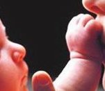 32岁有5个基础卵泡试管成功率不高，最多可以促排几个？