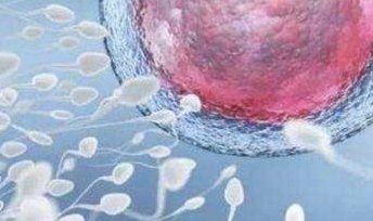 试管一级胚胎会发育异常吗,与二级胚胎有什么区别？