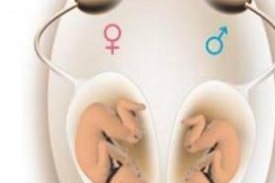 做了结扎手术可以在当阳市试管医院做试管婴儿吗？费用是多少